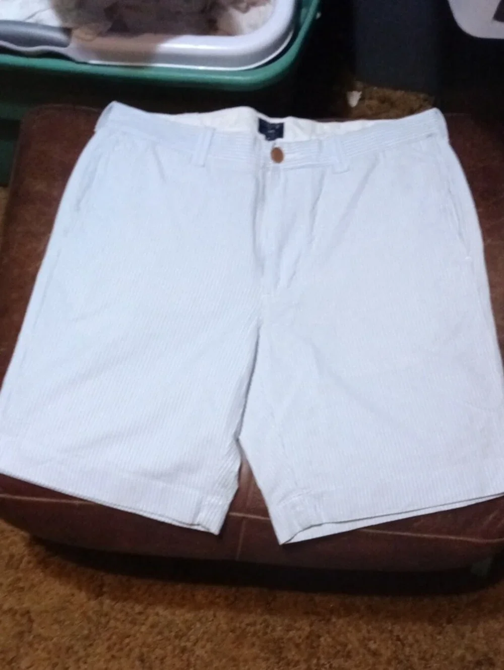 J. Crew White with Light Blue Pinstripe Flat-Front Men's Shorts